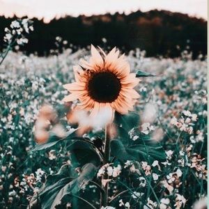 Meet your Posher, Rae